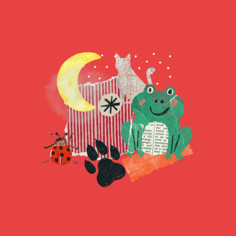 Contes traditionnels